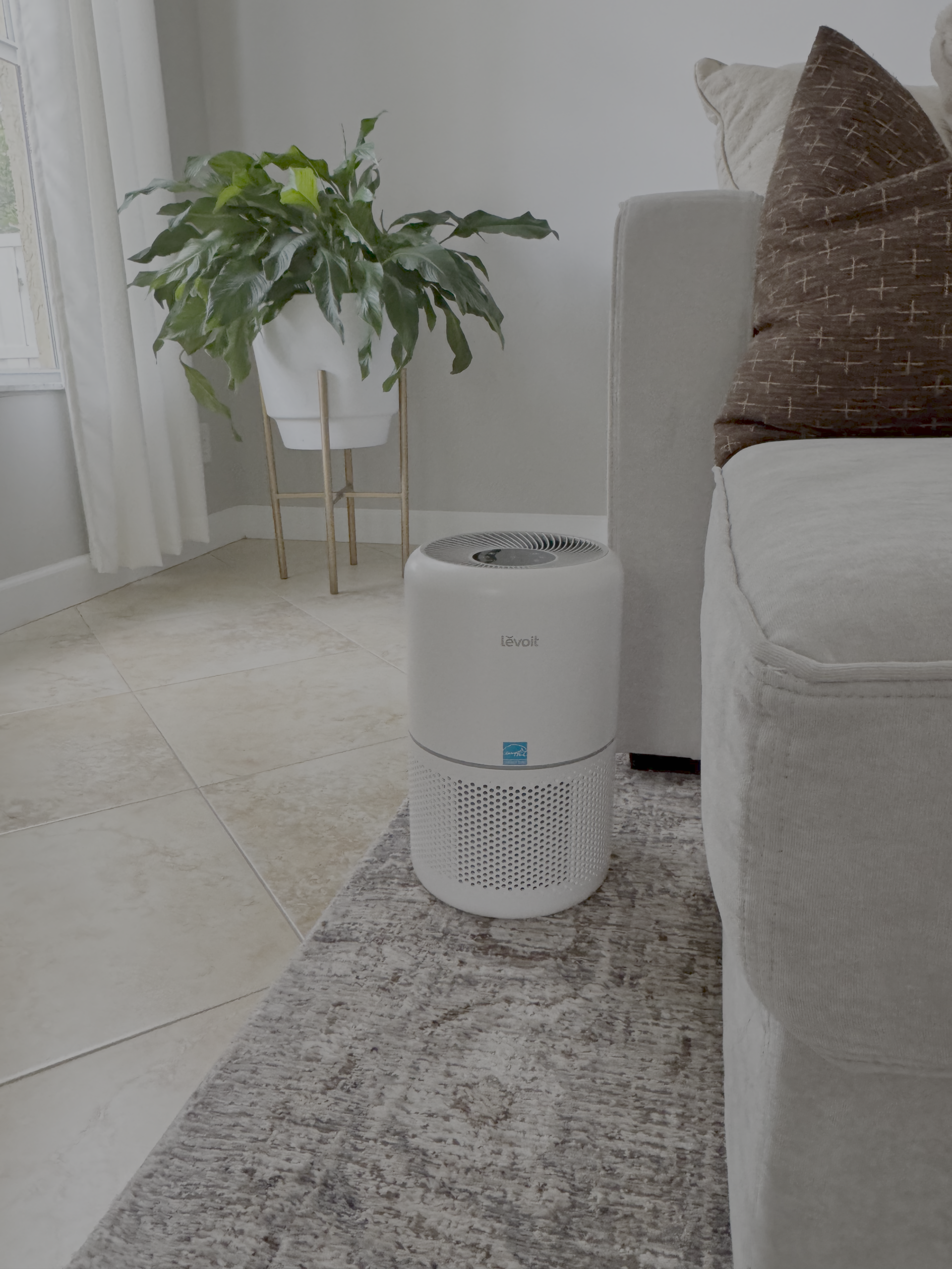 LEVOIT Air Purifier in living room with plant and sofa