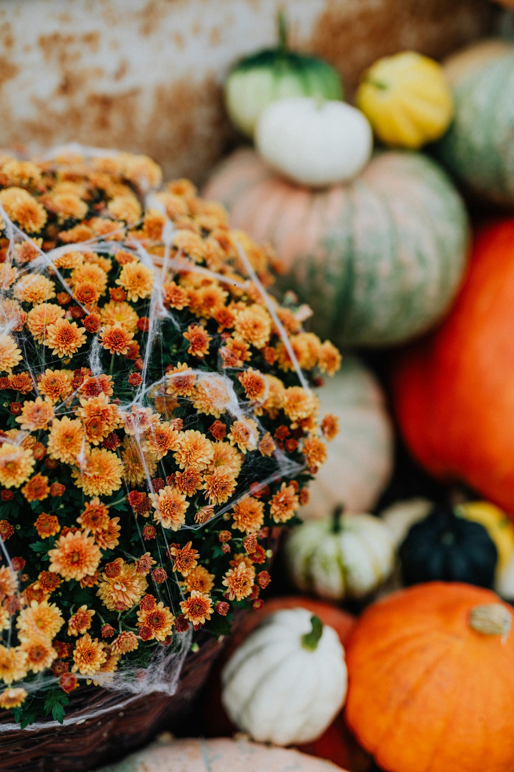 Cozy fall porch with mums, layered doormats, lanterns, and a neutral wreath.