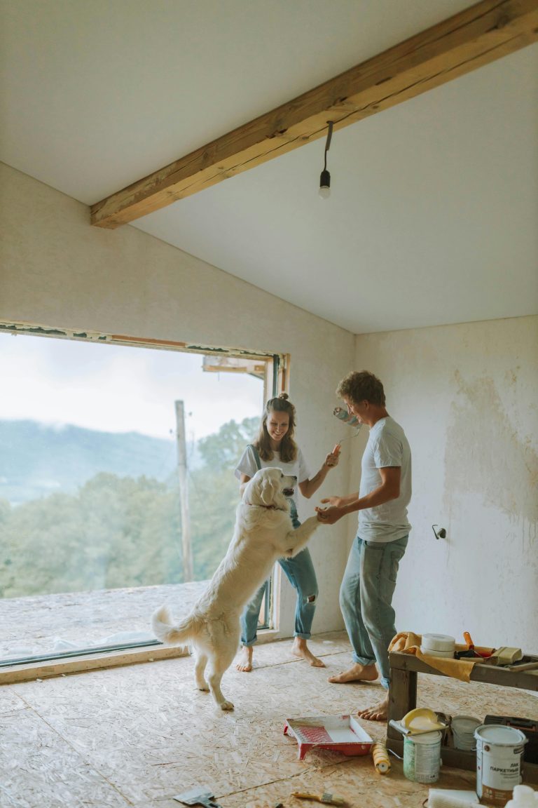 couple renovating home